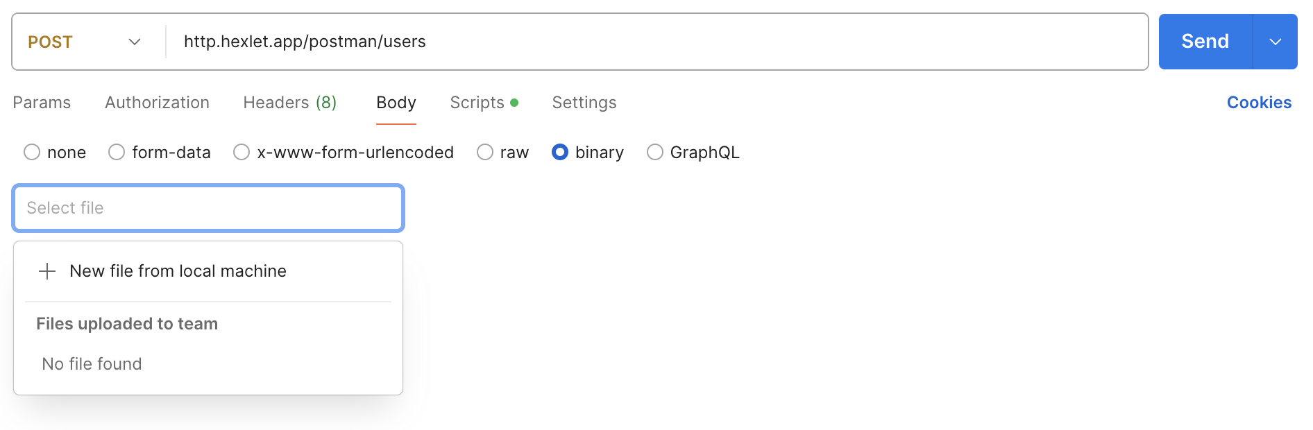 Бинарные данные