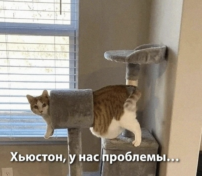 Снимок экрана&nbsp;— 2026-09-03 в&nbsp;18.42.11.png