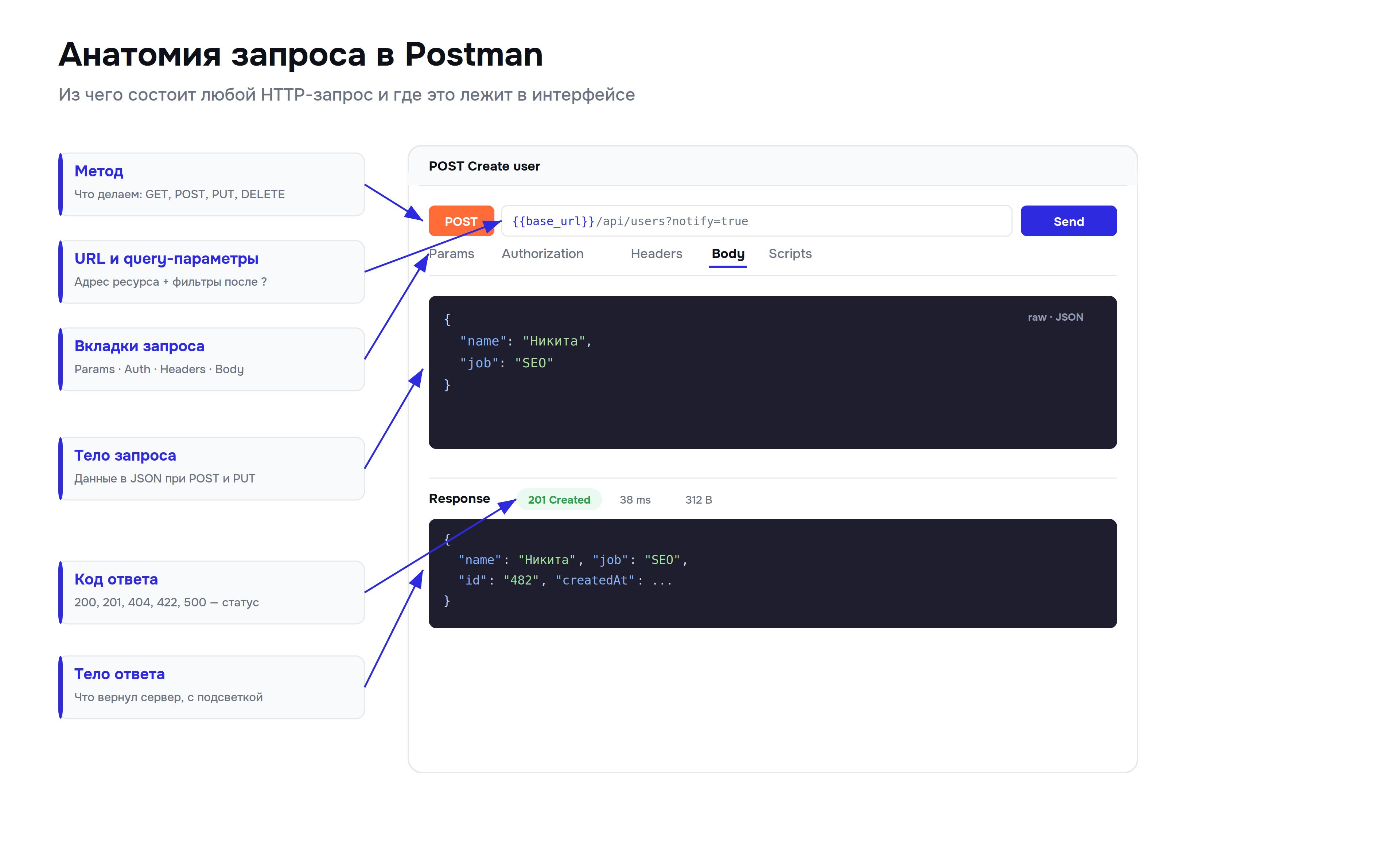 postman_01_anatomy.png