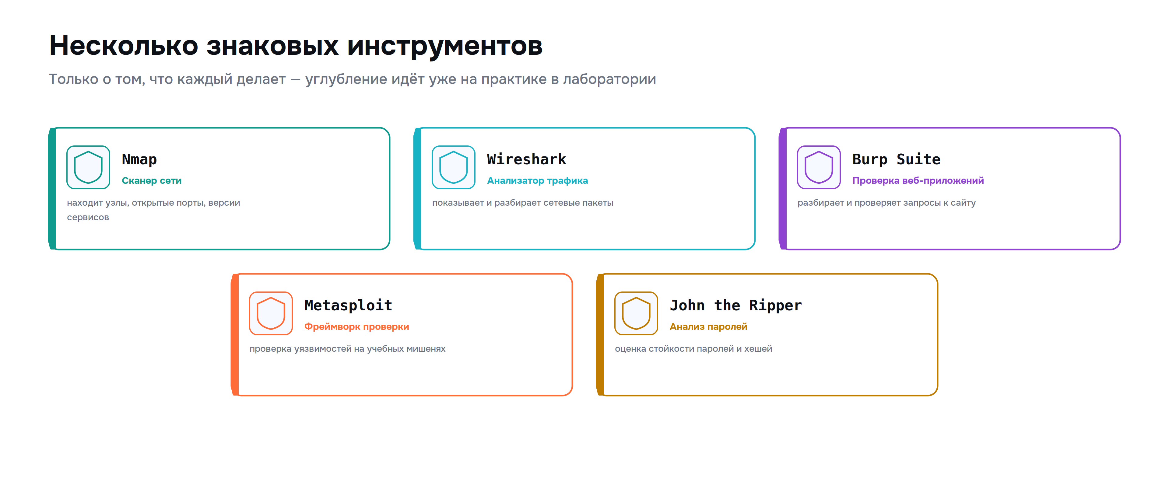 kali_05_tools.png